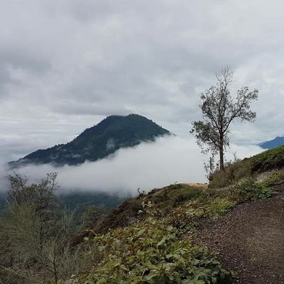 ahmfrs's profile picture. future pharmacist