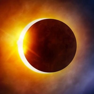 MaitreKims1's profile picture. Expert