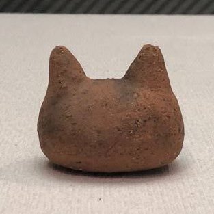 ozawakouzin's profile picture. 都の西北大学