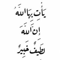 أ.د.أمل الموزان (@amal_almozan) 's Twitter Profile
