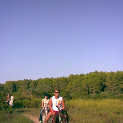 petr_drimal's profile picture. 