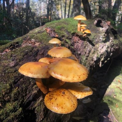 piorema74's profile picture. 