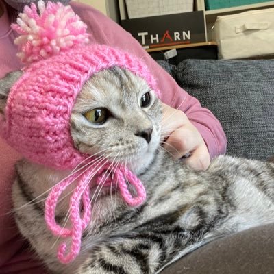 dawnchan81's profile picture. American living in Tokyo almost 20 years now.