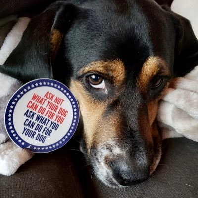Jessie79105575's profile picture. Everyone needs an editor.