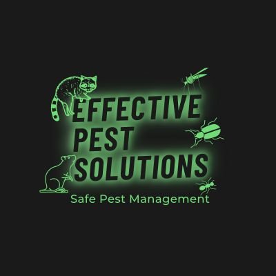 ps_effective's profile picture. 