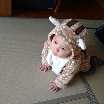 927927sei's profile picture. 料理好き🍳２𝑦 👧 4𝑦 👦💕同級生夫👱‍♂️ 家族の笑顔を守りたい❣️ イエベ春💄￤美意識高め中🪞￤旬の食材大好き🍴￤ディズニー￤資産運用￤スキンケア￤ゲーム🎮 よろしくお願いします🥰🍀