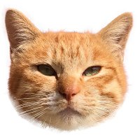 たかねこ@アクリル筆塗り (@takaneko73) 's Twitter Profile Photo