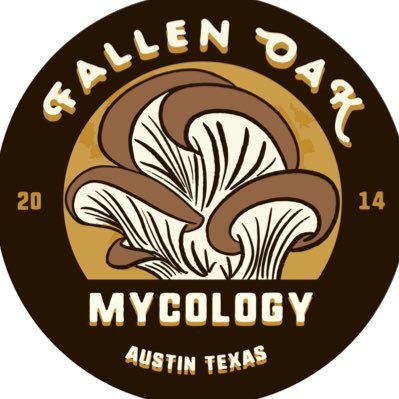 Medicinal in culinary mushrooms in Austin Texas