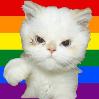 activistsniper's profile picture. Catctivist in a world full of rainbows & butterflies... MEOW !!!