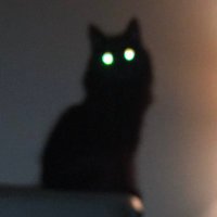 saba (@tiedyedress) 's Twitter Profile Photo saba (@tiedyedress) 's Twitter Profile Photo