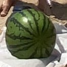 yFok6TSAHeiZgC4's profile picture. 誰でもフォローします。