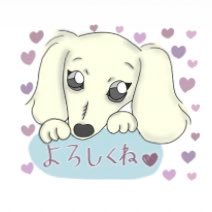 きゃんばにみ.いらすとさんのプロフィール画像