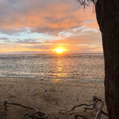 CandicePoullain's profile picture. 