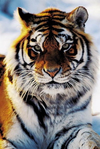 DavidCHouser's profile picture. Knowledge comes, but wisdom lingers.