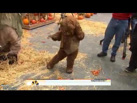 CrackheadEwok's profile picture. Use to live in the forest until was destroyed by vader, enlisted by the army and fought in iraq but that messed with my head. now selling crack.