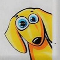 SiouxWho1954 (@suemcqueen7) 's Twitter Profile