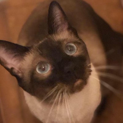 IzunaDropGames's profile picture. Prisoner of Christ | 1 Cor 1:23 | Christian game designer | Gospel through games