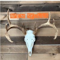 Apex Skulls (@apexskulls) 's Twitter Profile