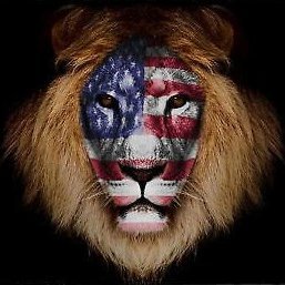 RedHeadWW21's profile picture. Patriot - ? Everything