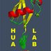 Hua-Lab (@zhihua_hua) Twitter profile photo