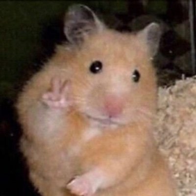 Poop is yummy and I Stan @tofu no literally (I’m dying)