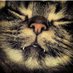 JT (@prisonblock50) Twitter profile photo JT (@prisonblock50) Twitter profile photo