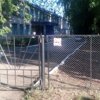 elena31101's profile picture. 