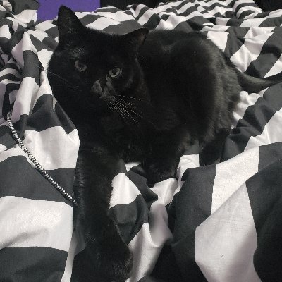 zeenamargarita's profile picture. Wicked Cute