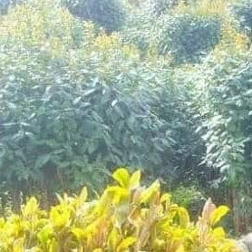 jtd4W3wF6RL92qX's profile picture. اللهم انت ربي لا اله الا انت خلقتني وانا عبدك وانا على عهدك ووعدك مااستطعت ابوء لك بذنبي وابوء لك بنعمتك على فاغفر لي فانه لا يغفر الذنوب الا انت