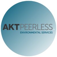 AKT Peerless(@aktpeerless) 's Twitter Profile Photo