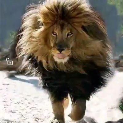 LibbyVisagie's profile picture. Warmhearted, caring and fiercely believing and insisting on Truth to set us free from draconians law and unrighteous rulers.