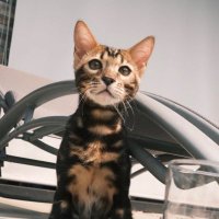 wes loves you (@weslovesyousm) 's Twitter Profile