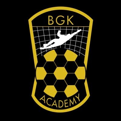 Founded in 2019 to help promote the proper development of Goalkeepers in the local and National game ⚽️
