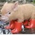 gumboots (@gumboots10) Twitter profile photo gumboots (@gumboots10) Twitter profile photo