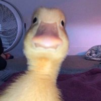 larri (@larrisuckss) Twitter profile photo