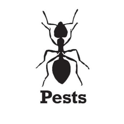 Producing Theatre, Drag, and A Good Time since 2018 🐜

Working with both new and established live performance artists 

Founded by @Dousty95 & @SophiaGreppi