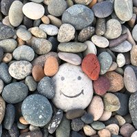 Pebble Autism(@PebbleAutism) 's Twitter Profile Photo