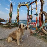 Dorin10549738's profile picture. Summer, motorcycles and blockchain.