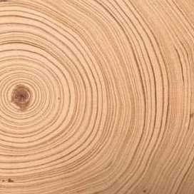 Procesos y Productos en Madera y Mueble.
Tecnología de la Madera | Diseño del Mueble.
Profesor Educación Secundaria, Formación Profesional.