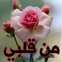 fullmoo96666102 (@fullmoo96666102) 's Twitter Profile