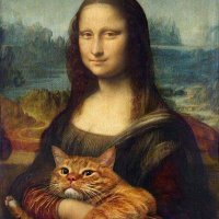 Vida (@vidalenta1) 's Twitter Profile