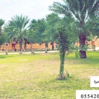 كبلز الرياض (@coubls) Twitter profile photo