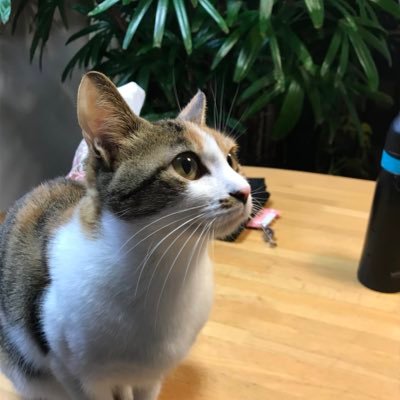 matsudax's profile picture. 