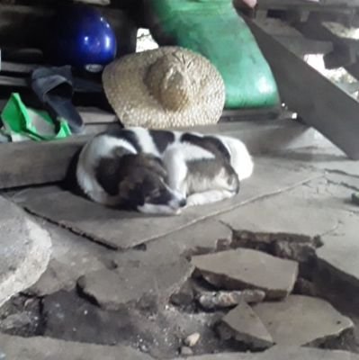 airtutz's profile picture. Simple