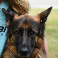 AF (@afish2000) 's Twitter Profile