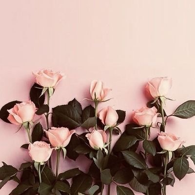 Im__iggy's profile picture. 🌵