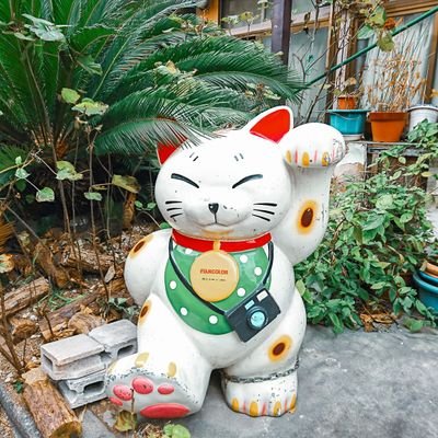 ゆきたさんのプロフィール画像