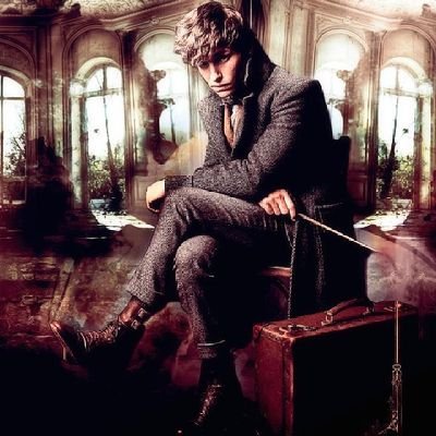 Newt Scamander
Magizoologist
Hufflepuff
Roleplay Account