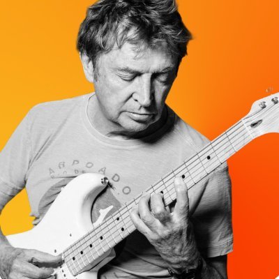 新品⭐️送料込み⭐️ANDY SUMMERS WALKING ON THE MOON Electro-Harmonix Andy Summers Walking on the Moon US Limited
