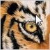 tiger20004's profile picture. 